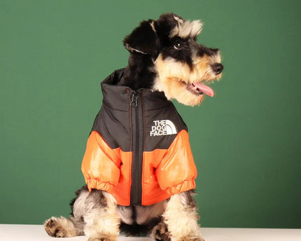 Collection image for: Pet Clothing