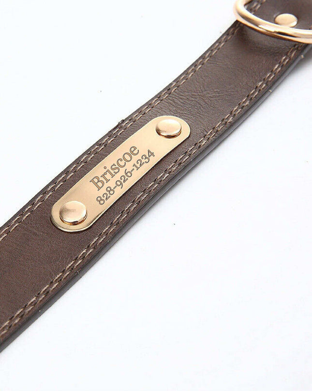 Personalized dog collar with custom engraved nameplate, brown leather design.