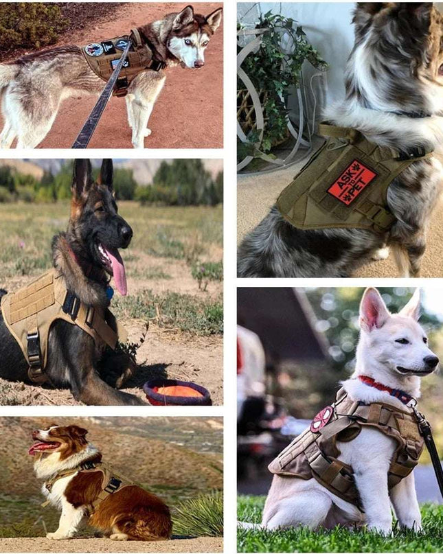 Nylon Camouflage Dog Harness providing durable and stylish protection for outdoor adventures.