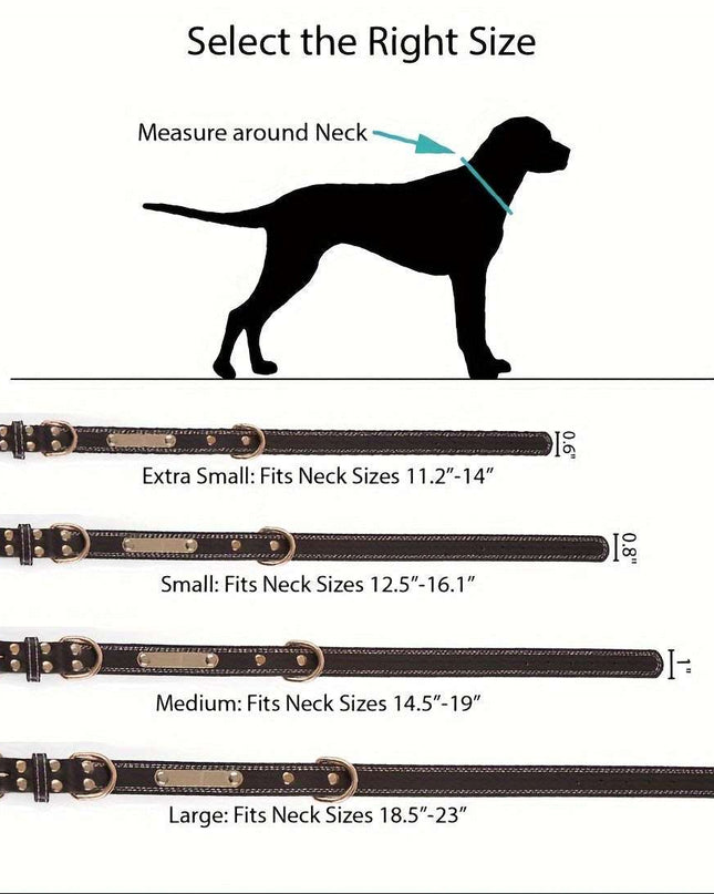 Personalized dog collar with custom engraved nameplate in various sizes.