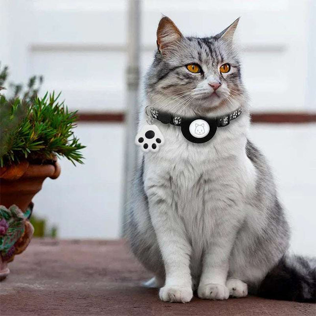 Smart Mini GPS Tracker on a cat collar for real-time pet location monitoring.