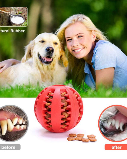 Dog Food Ball Pet Dog Toy Interactive Rubber Balls for Dogs