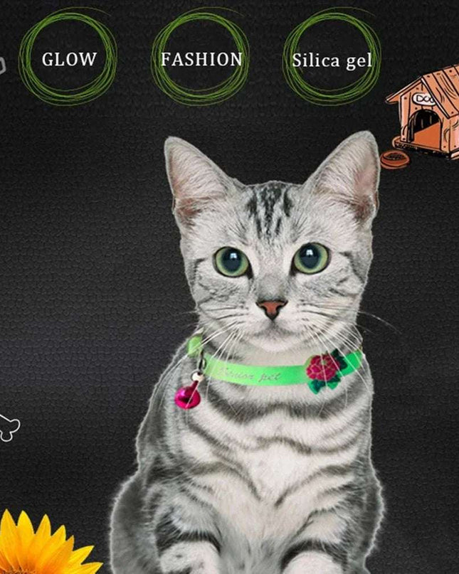 Luminous Cat Necklace on a cat, glowing dog cat collar, fluorescent silicone ring, safety accessory.