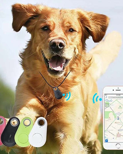 Pet Smart GPS Tracker with Bluetooth showing tracking on a running dog's collar and smartphone app.