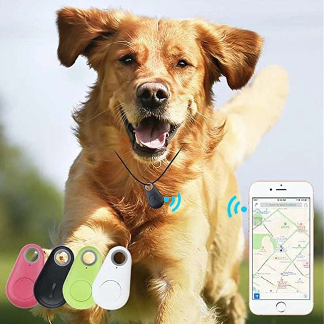 Pet Smart GPS Tracker with Bluetooth showing tracking on a running dog's collar and smartphone app.