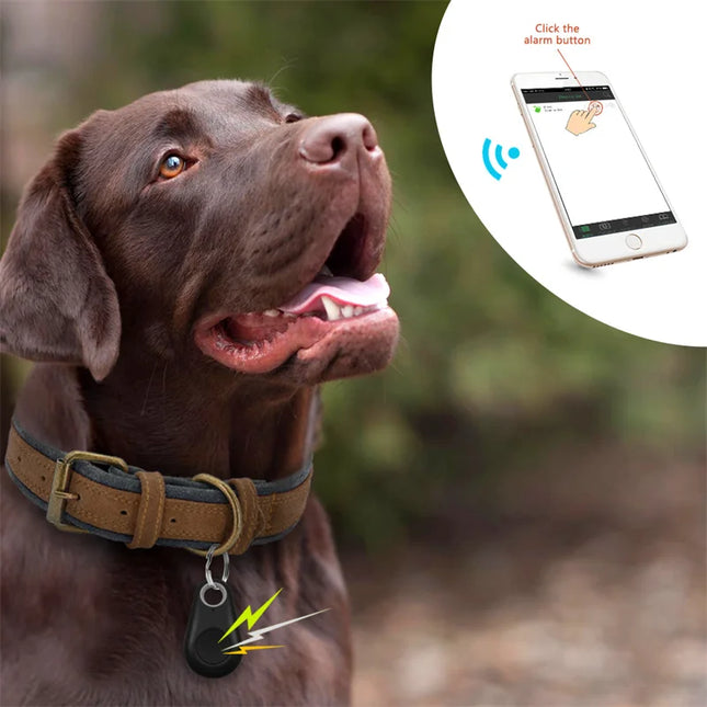 Dog wearing Pet Smart GPS Tracker Mini Anti-Lost Bluetooth Locator on collar, with smartphone app interface inset.