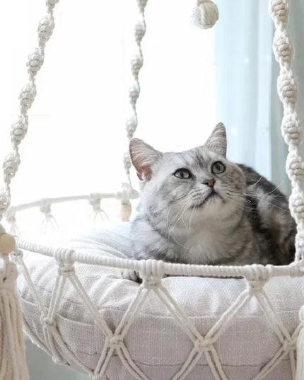 Cat lounging in a Boho handwoven cat hammock with tassels and cotton mat.