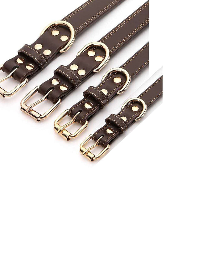 Durable personalized dog collar with custom engraved nameplate in various sizes.