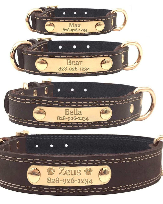 Personalized dog collar with custom engraved nameplate, durable and stylish design for pet safety.