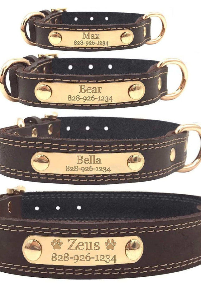 Personalized dog collar with custom engraved nameplate, durable and stylish design for pet safety.