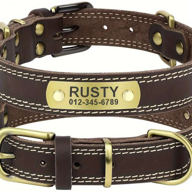 Personalized dog collar with custom engraved nameplate in brown leather.