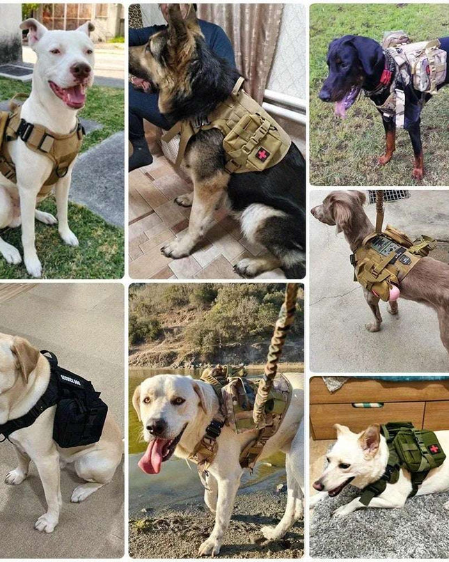Nylon Camouflage Dog Harness on multiple dogs displaying durability and stylish adventure-ready design.