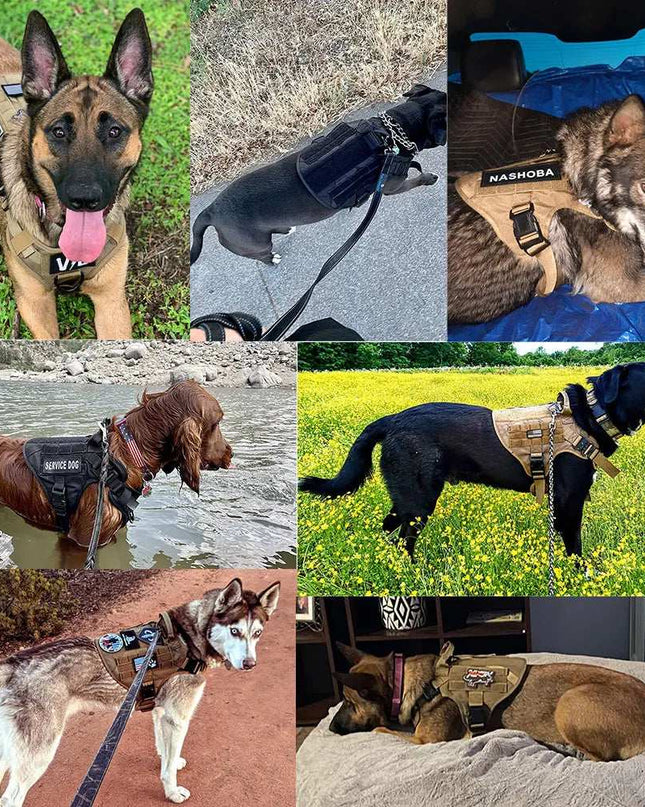 Ultimate Tactical Dog Gear Set