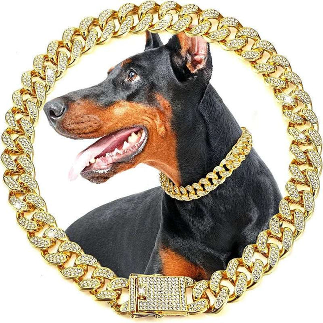 Shimmering gold pet necklace on a dog.