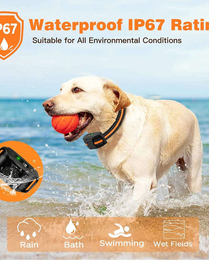 Smart Dog Training Helper