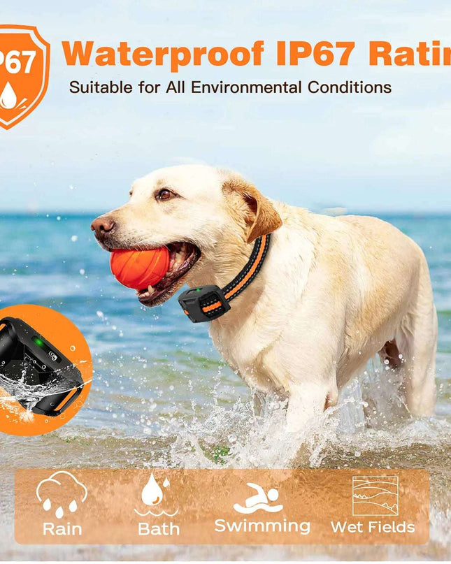 Smart Dog Training Helper