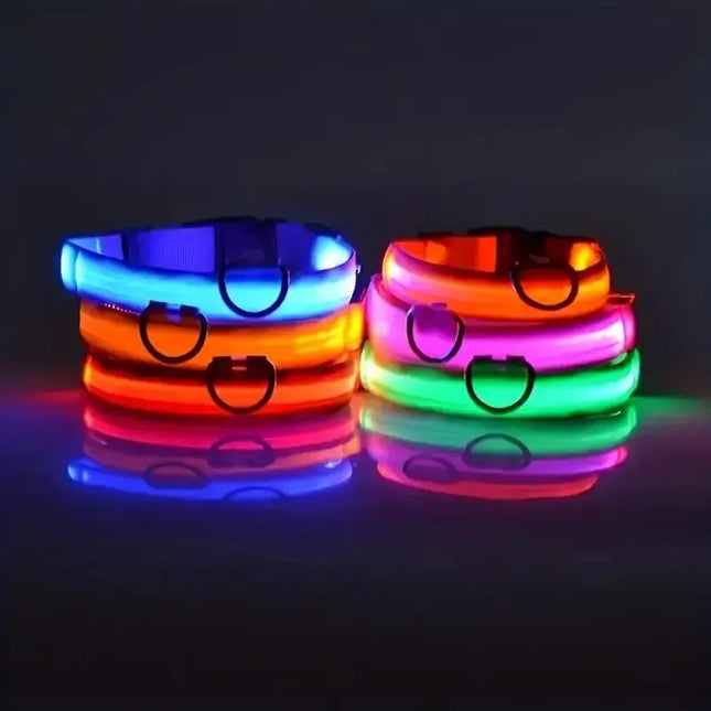 Glow-In-The-Dark Dog Leash for Nighttime Safety Walks