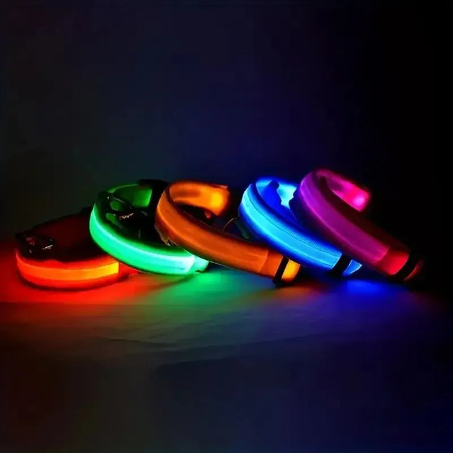 Glow-In-The-Dark Dog Leash for Nighttime Safety Walks