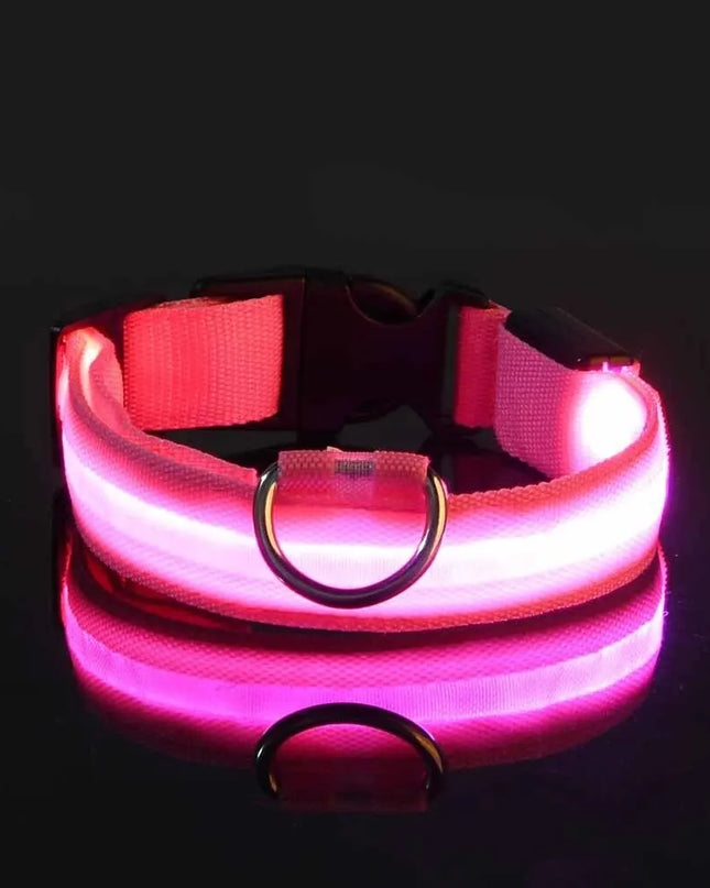 Glow-In-The-Dark Dog Leash for Nighttime Safety Walks