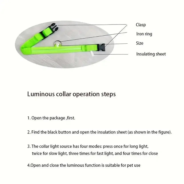Glow-In-The-Dark Dog Leash for Nighttime Safety Walks