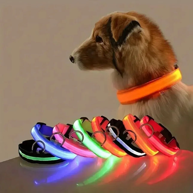 Glow-in-the-dark dog leash displayed with a dog wearing a luminous collar, showcasing various vibrant colors for nighttime safety.
